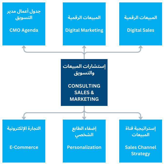 CONSULTING SALES & MARKETING